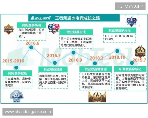 全球电竞产业发展趋势与未来青少年职业化道路深度解析