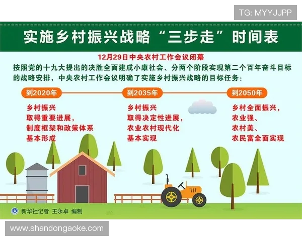 足球俱乐部发展新模式探索与挑战：打造全球竞争力的全方位战略体系