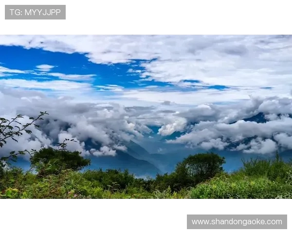 电竞赛事激战正酣新兴战队崭露头角挑战传统强队登顶之路