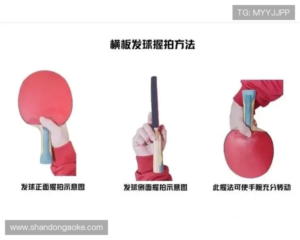 乒乓球新手必看：全面提升个人能力的入门技巧与训练方法指南