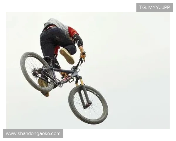 成都极限运动队战术表现数据分析与策略优化探讨