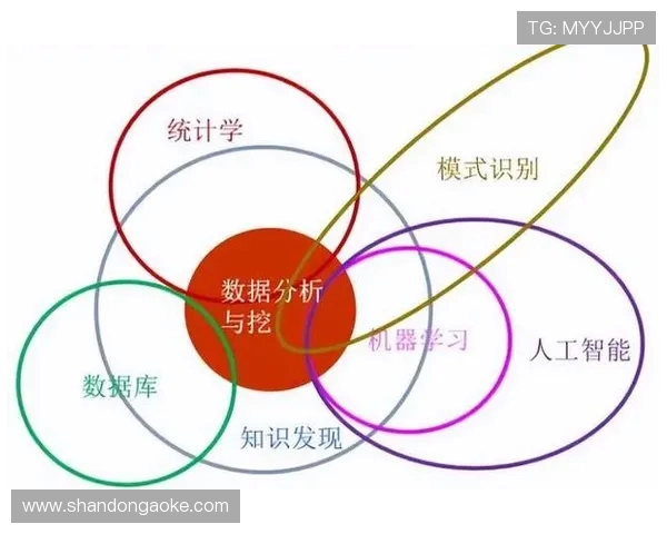 武汉排球队快攻战术解析与实战应用深度分析