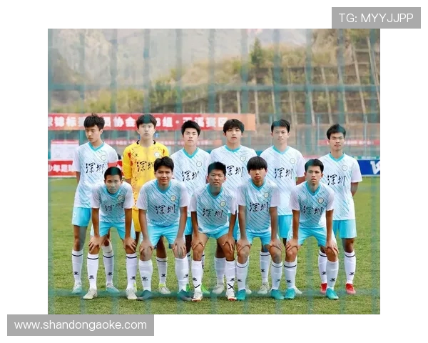 深圳足球队的节奏揭秘：激情与梦想交织的绿茵传奇