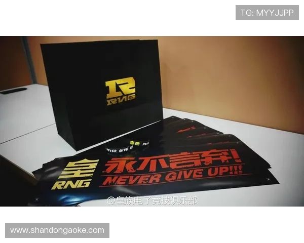 独家解析RNG战术风格与对手的深度对比与启示 独家解析RNG战术风格与对手的深度对比与启示