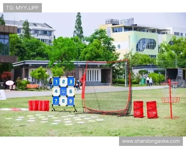飞盘盛宴：探秘广州飞盘队的极速风采与团队协作