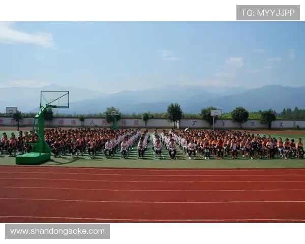 Team Liquid战队崭新征程揭幕 荣耀与挑战并存的新篇章 Team Liquid战队崭新征程揭幕 荣耀与挑战并存的新篇章